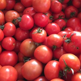 Tomates rondes rouges /Kg