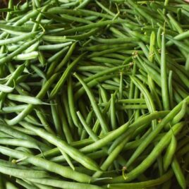 Haricots verts /Kg